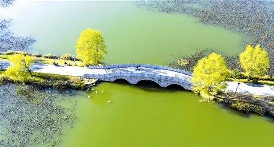 光影中的三门峡（557）