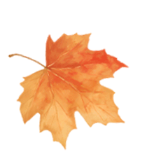 青睐绵阳，走北川过羌年，北川邀您共赴非遗消费季！一起过年咯！