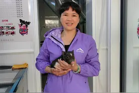 琼中女“猪倌”：养五脚猪带动七千余人共同发展图片