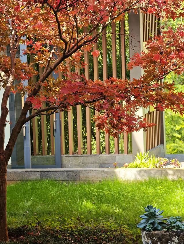 初冬，来安宁玉龙湾这个暖洋洋的图书馆坐一坐吧～