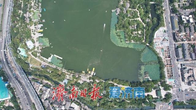 一年四季 泉在济南丨“棉花糖” 白云缀晴空 大明湖颜值爆表