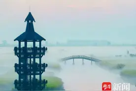 兴化千垛油菜花海： 晨雾缭绕   如梦如幻图片