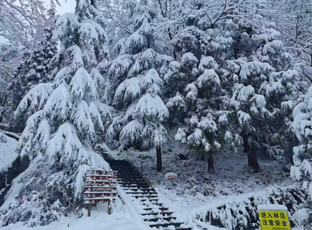 偏头山初雪如画 游客沉浸式赏冬韵