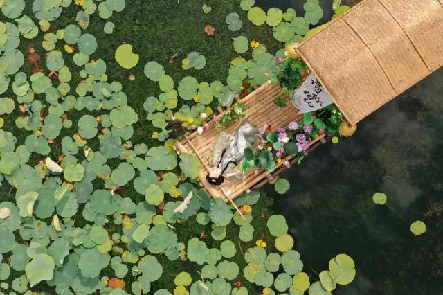 写信告诉我，今天，宜宾的“海”是什么颜色……