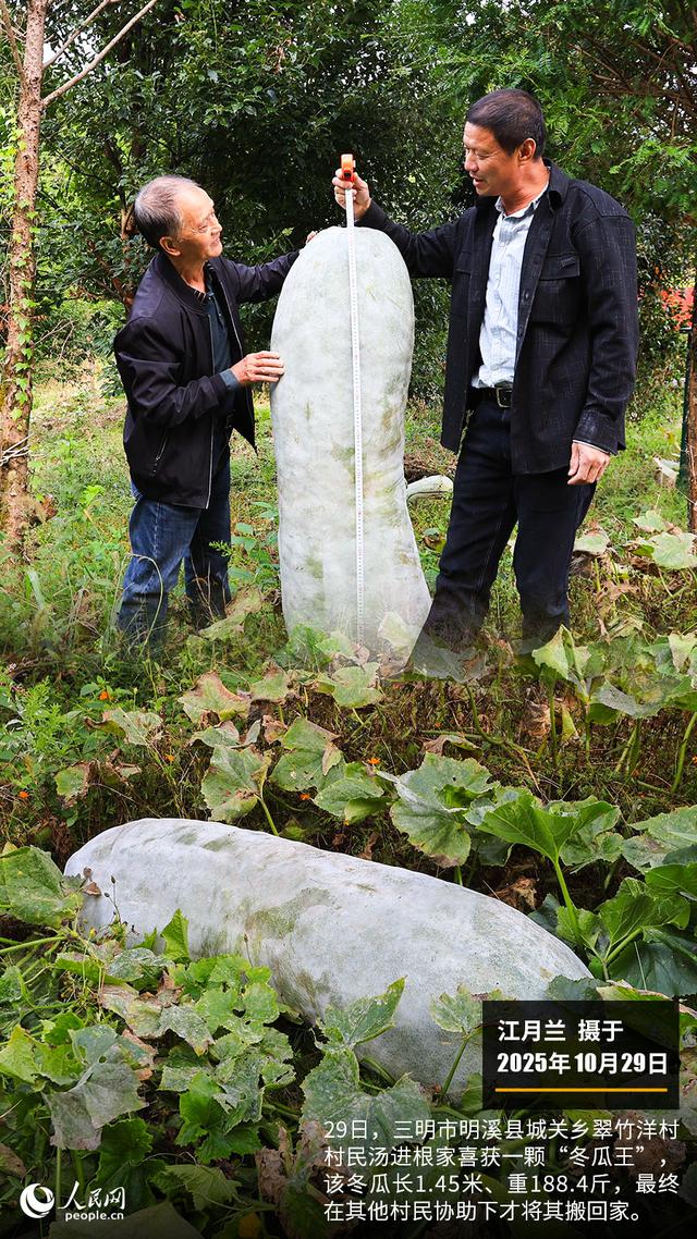 第二十七届湄洲妈祖文化旅游节在莆田举行