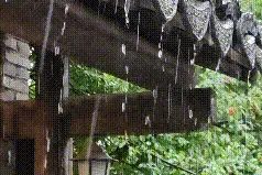 咸宁，即将正式入梅图片