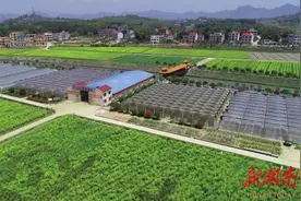 山乡蝶变满目新——看涟源市如何精心描绘乡村振兴新图景|湖南日报图片