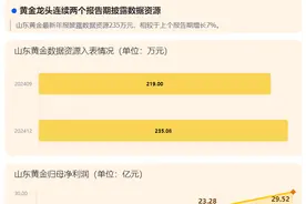 保有黄金储量2000余吨，山东黄金数字化“掘金”入表235万元数据资源图片