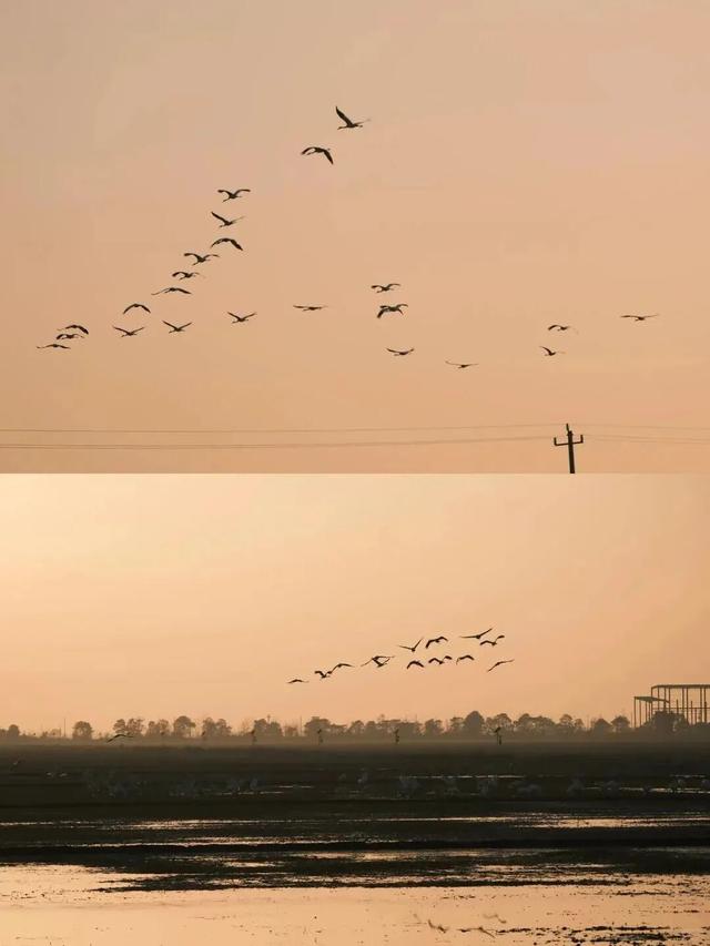 跟着课本游赣鄱！