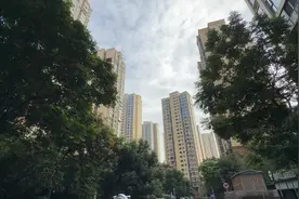 阳光政务丨房屋包租给中介  到期后业主“傻眼”图片