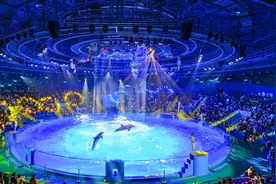 8天长假，超18万人次！郑州海昌海洋旅游度假区人气爆棚图片