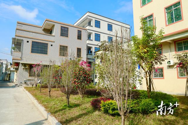 拆出空间，治出美景！彩塘镇和平村推进产乡融合