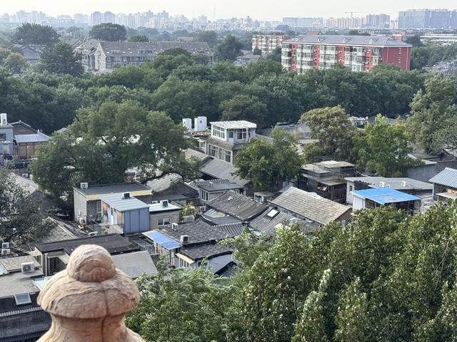 胡同屋顶频现“补丁”，老城“第五立面”风貌如何维护？