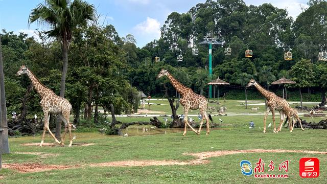 国庆长假全城热“运”，来广州开启一场人文与自然的深度体验之旅
