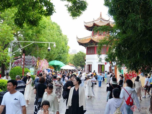 【高清组图】翠湖荷花盛放 日均吸引超3.6万人次赏花