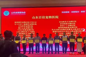 淄博21家宠物医院获评全省优秀图片