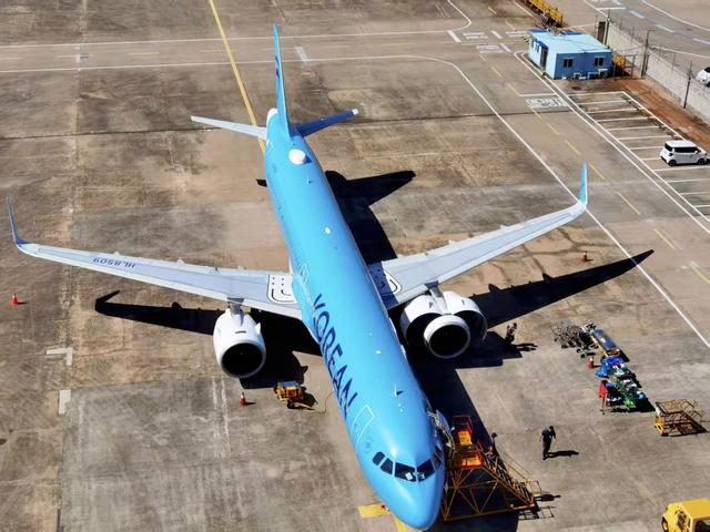 每周368次航班！免签政策“搅动”中韩旅游“一池春水”