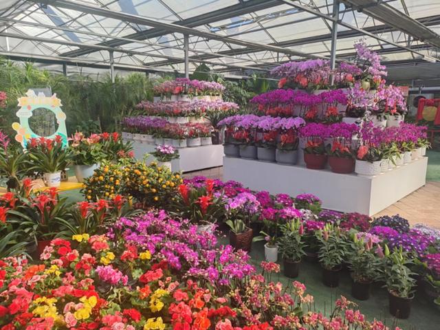 在济南坐着地铁能直达哪些公园？攻略来啦！