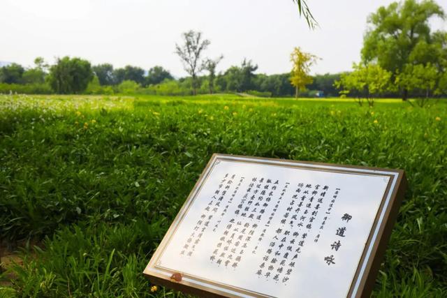 绿隔公园｜邂逅一亩园——秋意阑珊处，绿影繁花间