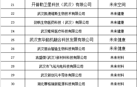 2025武汉市第一批“未来之鹰”企业拟认定名单公布