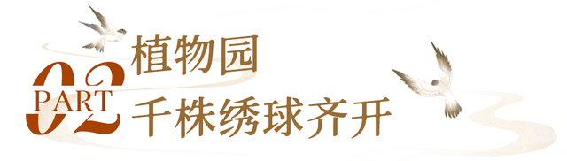 东湖国庆超多活动上新，假期必刷清单来了！
