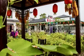 徐州丰县：建设和美乡村，绘就生态宜居画卷图片