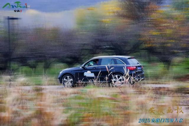 文旅前沿 | 文旅绘新卷，车轮启华章——2025安徽自驾游大会圆满举行