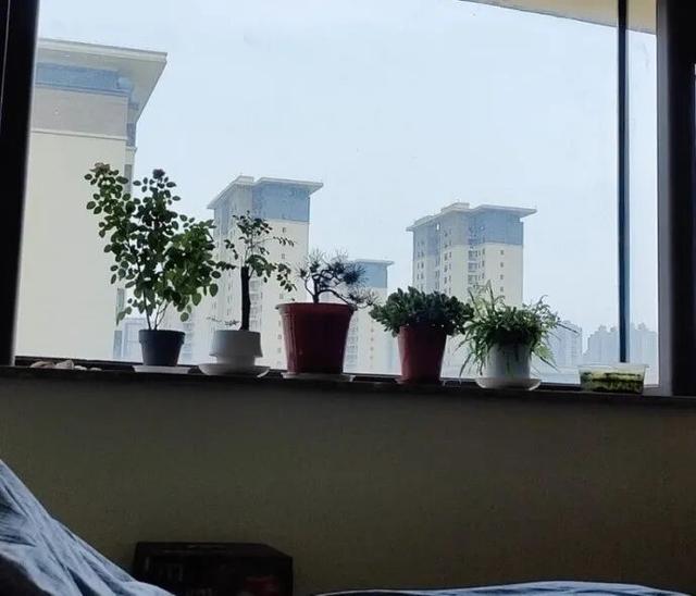 第一批90后住进养老院日常：押金30万，月租3000元