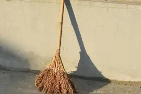 手工扎一把扫帚，打扫庭院过新年图片