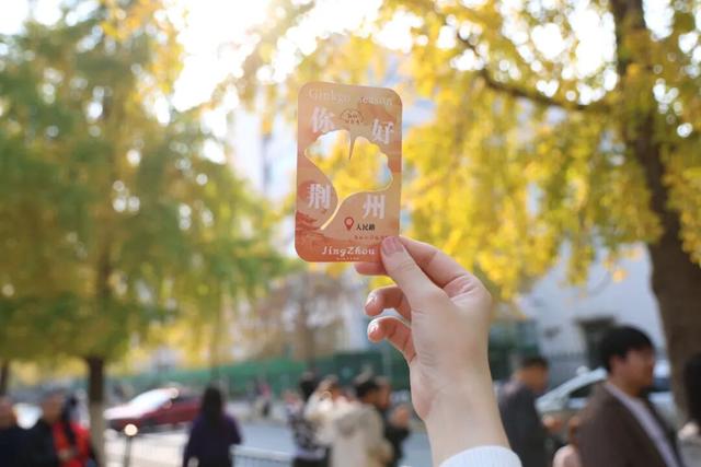 【趣游古城】秋日限定，在荆州邂逅一场“杏”运！