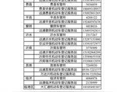 权威解答来啦！临沂启用“鲁W”号牌，您关心的问题都在这图片