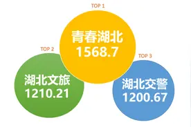 湖北省直微信TOP50榜：“湖北文旅”冲进前三甲图片