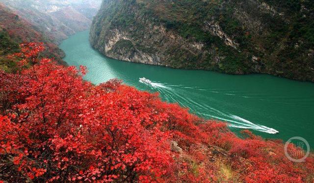 4条线路、5大亮点……快来一场说走就走的“红叶之旅”