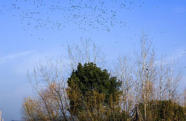 一湖碧水焕新生 “产水融合”释放生态红利