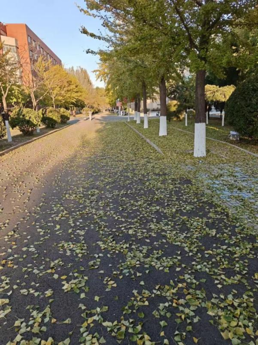 全网一致认定：最短的秋天，才是最贵的奢侈品