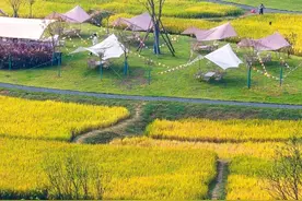成都市龙泉驿区：给农业现代化插上科技翅膀图片