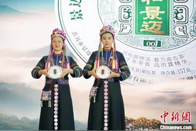 第十五届云南茶博会开幕 展示云茶绿色发展成效图片