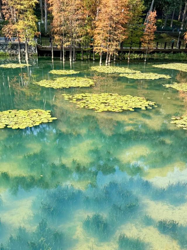 误闯仙境！来越秀，邂逅现实版「水墨画」