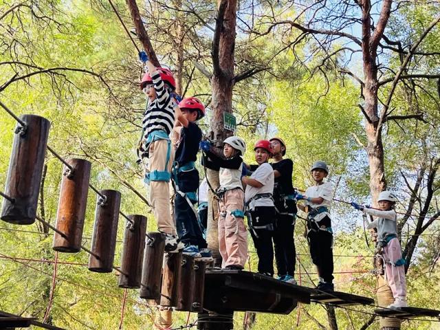 错峰慢游净月潭 独享秋日山水 寻回生活诗意