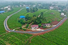 “镇”兴183 | 以“桑”为媒，乐至县东山镇入选国家农业产业强镇图片