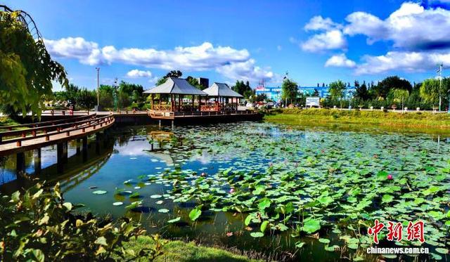 从治山理水到城景共生：解码集宁如何重构“生态算力”