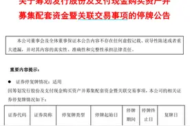 明起停牌！央企电力巨头宣布，重磅重组！8万多股东要嗨了？图片