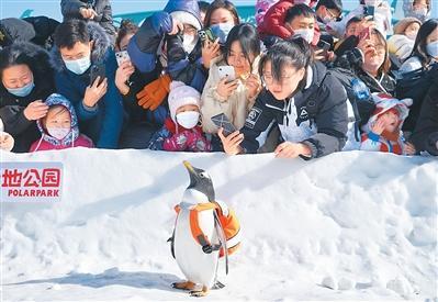 黑龙江启动冰雪旅游“百日行动”——向世界发出冰雪邀约