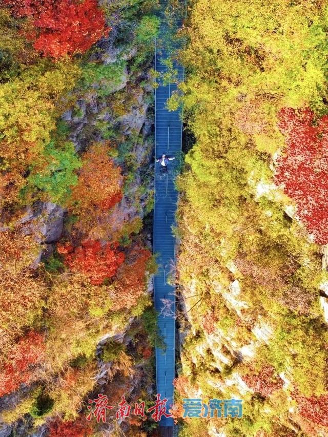 飞“阅”山川，住进潭溪山秋画里