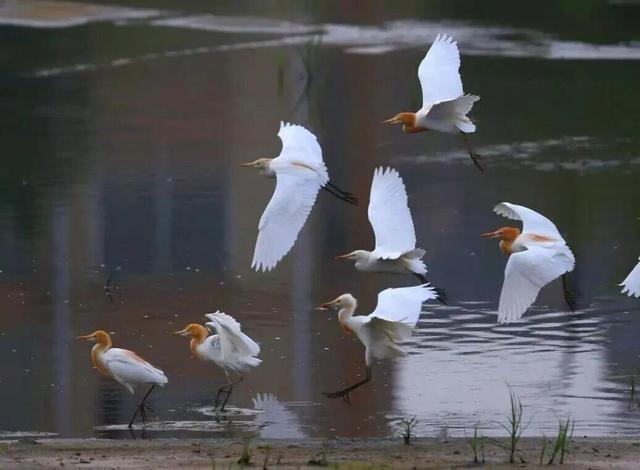 乘着高铁冬游南海 解锁宝藏旅居目的地