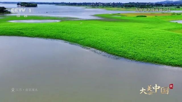 跟着央视，秋游溧水！