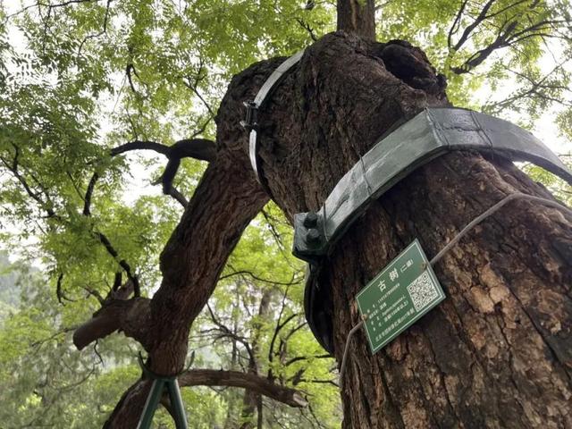 八大处传说宣讲员志愿者开始招募