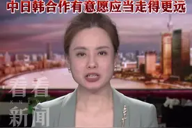 时隔四年 中日韩外长将再次面对面会晤图片