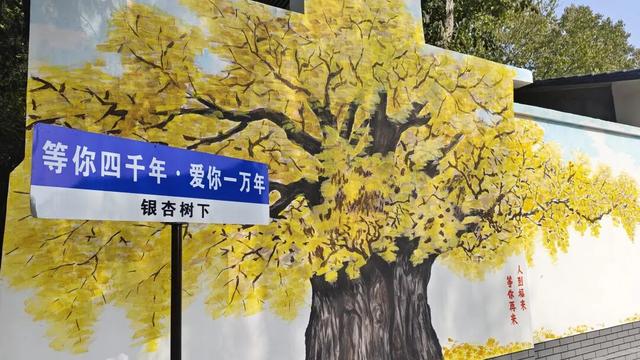 就是这个周末！“古城+银杏”！中韩市集+金色瀑布！