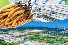24年，投资240亿元！宜都东阳光“三驾马车”齐头并进的创新密码图片